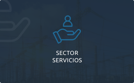 sector-servicios